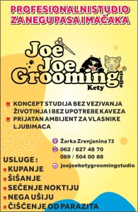 JOE JOE GROOMING BY KETY